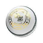 DS 40 Over Cricket Ball (12 Balls)