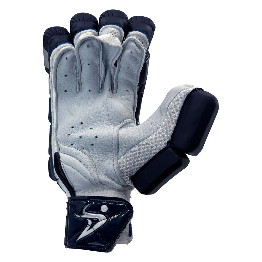 Ds T/20 Limited Edition Batting Gloves Navy