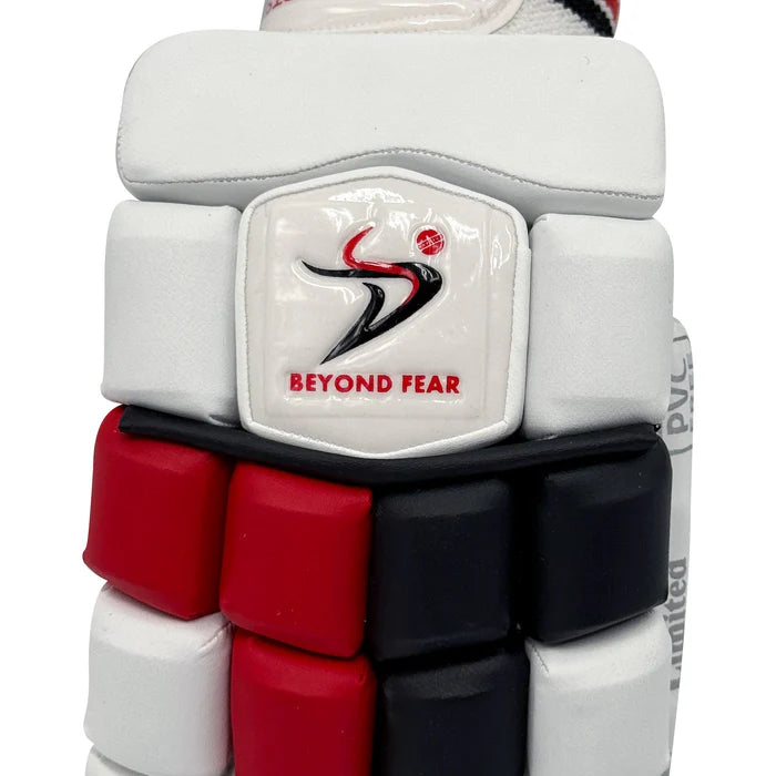 DS 1.1 L.E Batting Gloves Black/Red