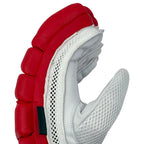 DS T/20 Limited Edition Batting Gloves Red