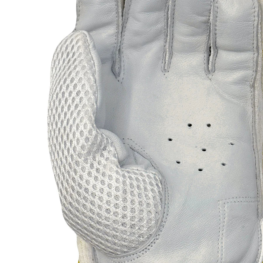 DS T/20 Limited Edition professional cricket gloves for T20 match play