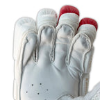 DS 1.1 L.E batting gloves with secure wrist strap closure