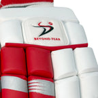 DS 1.1 L.E Limited Edition gloves for elite match performance