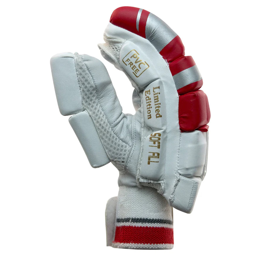 DS 1.1 L.E Batting Gloves