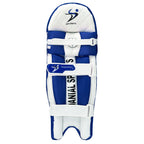 DS T/20 Cricket Batting Pads Blue