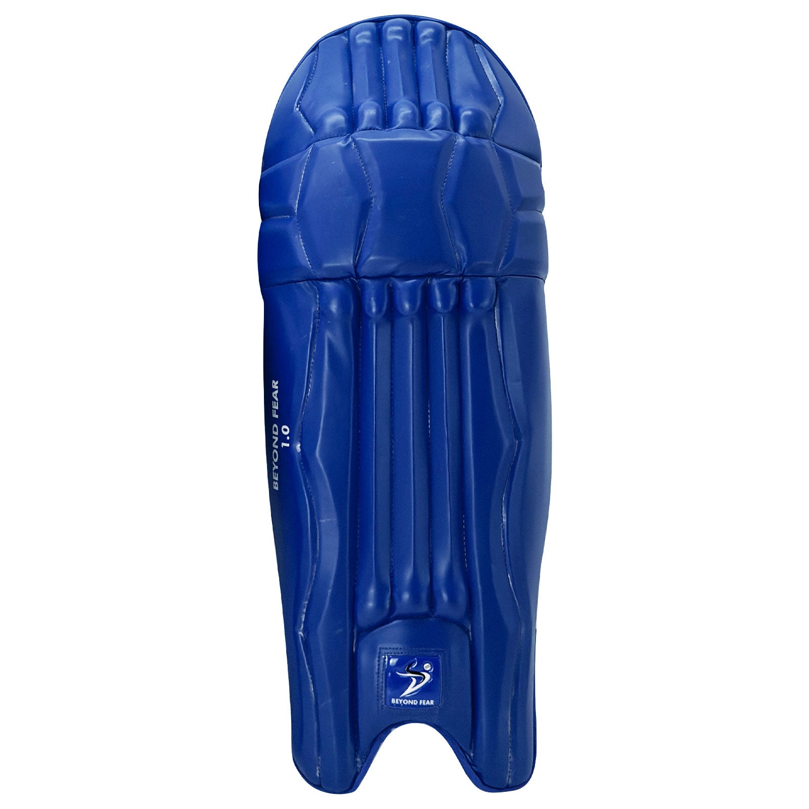 DS T/20 Cricket Batting Pads Blue