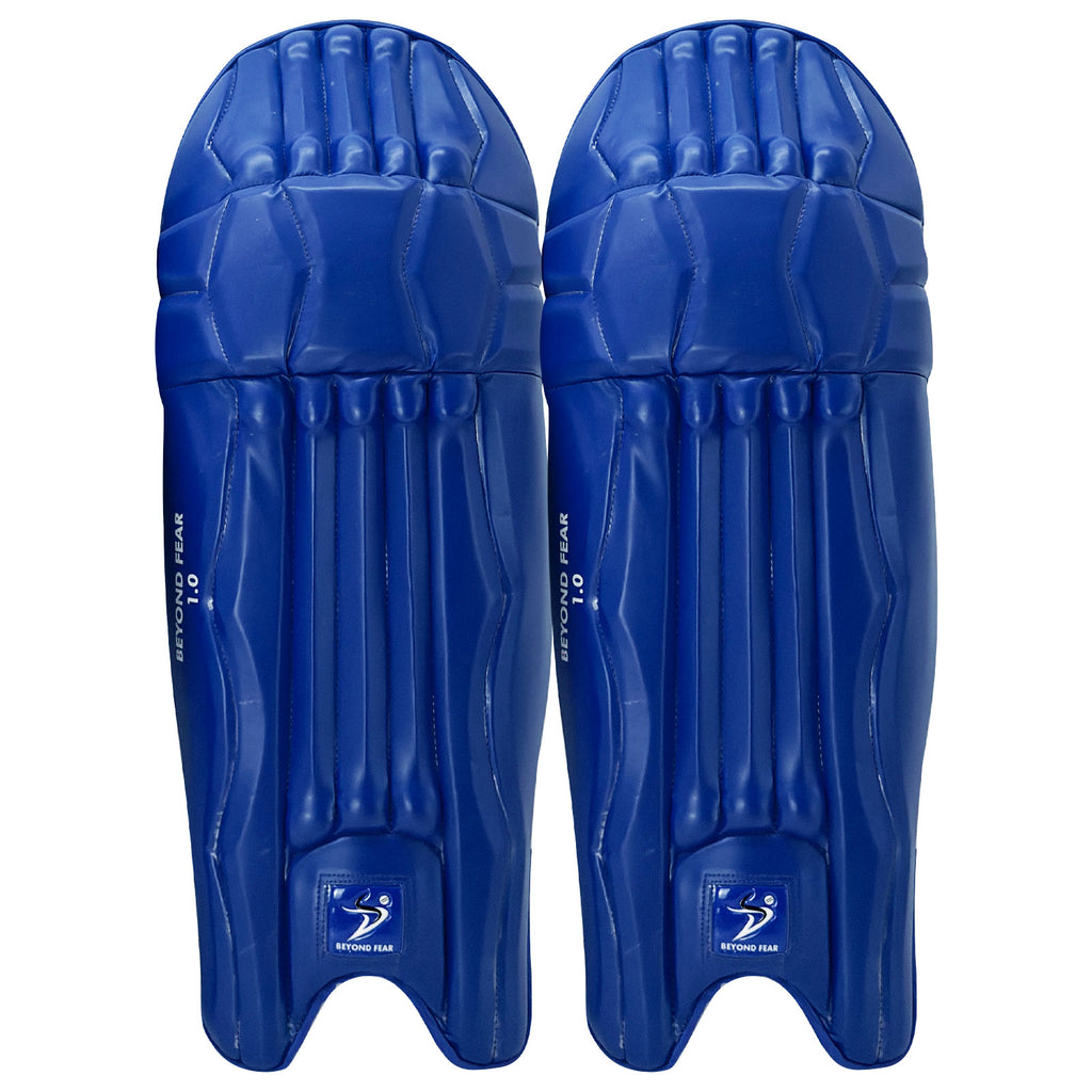 DS T/20 Cricket Batting Pads Blue