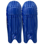 DS T/20 Cricket Batting Pads Blue