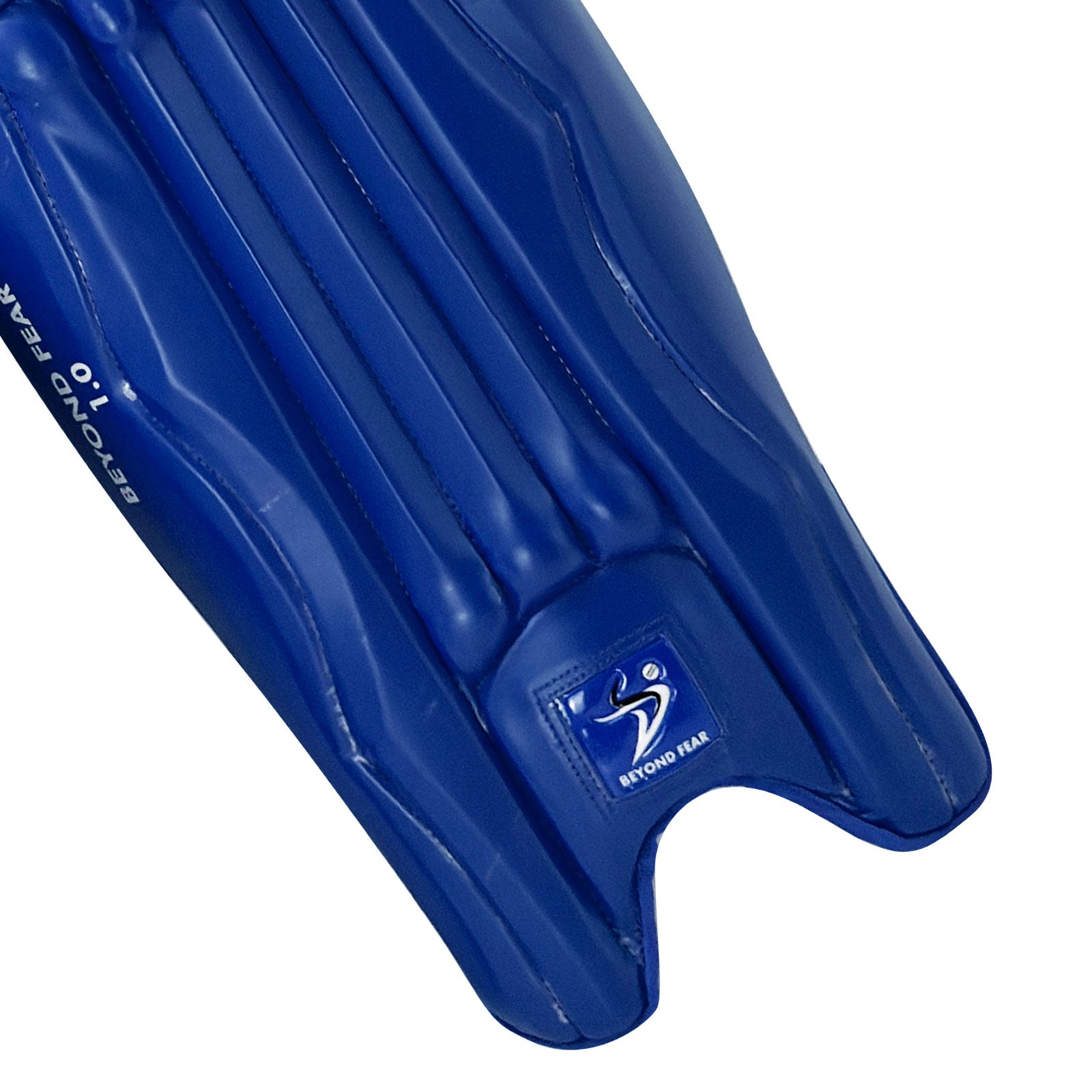 DS T/20 Cricket Batting Pads Blue