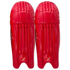 DS T/20 Cricket Batting Pads Red pair front view displaying red accents and protective facing at Cricketer Point