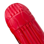 Detail of the DS logo and red branding graphics on the upper knee section of the cricket batting pads