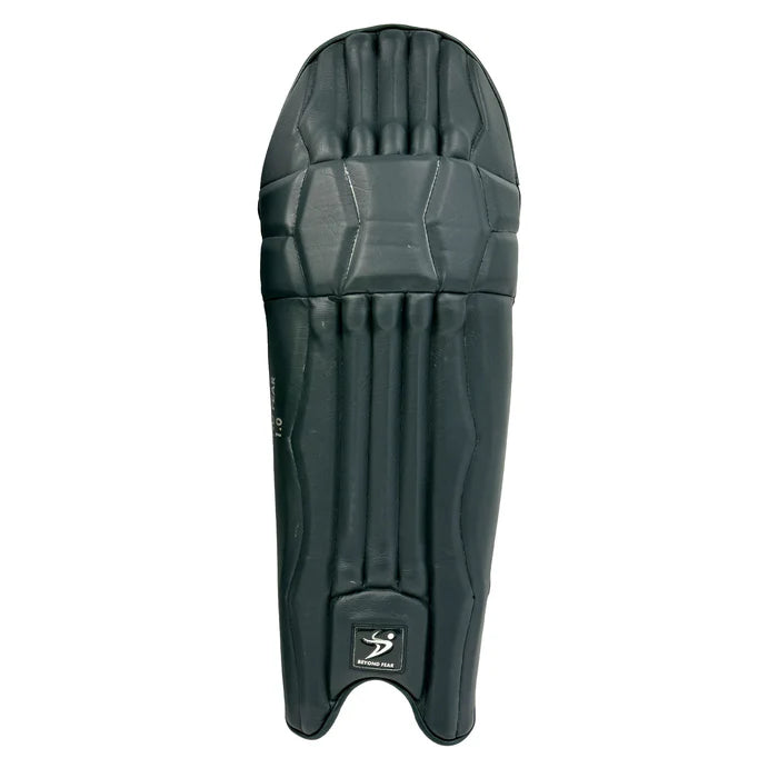 DS T/20 Cricket Batting Pads Green