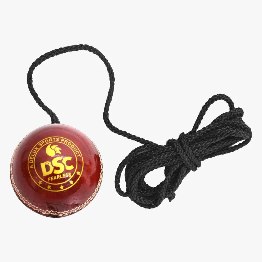 DSC Hanging Leather Cricket Ball red leather