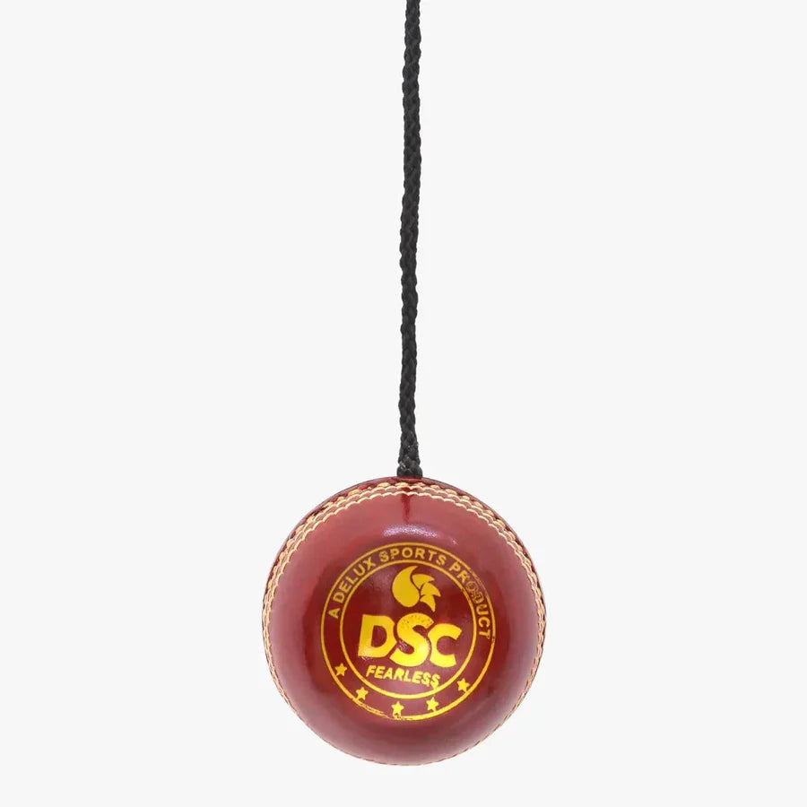 DSC hanging ball with durable attached rope
