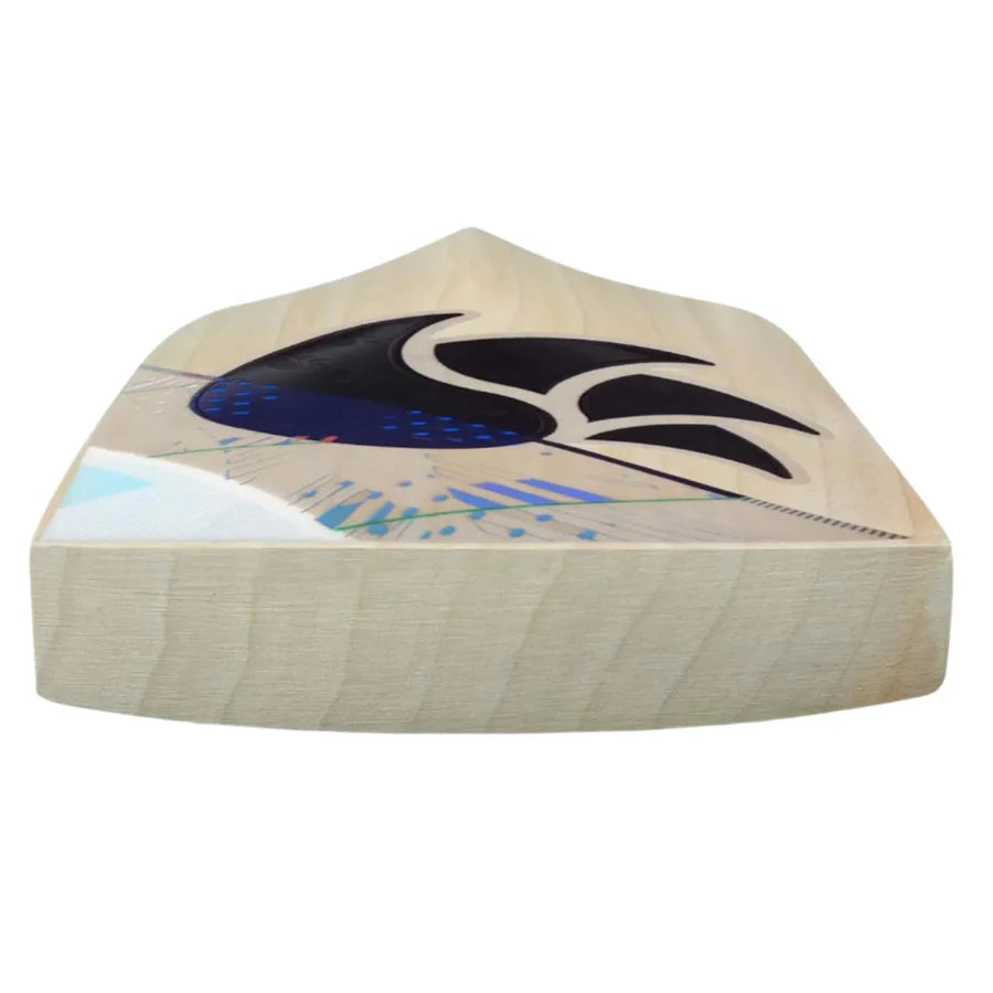 DSC Condor Atmos bat premium handle grip comfort