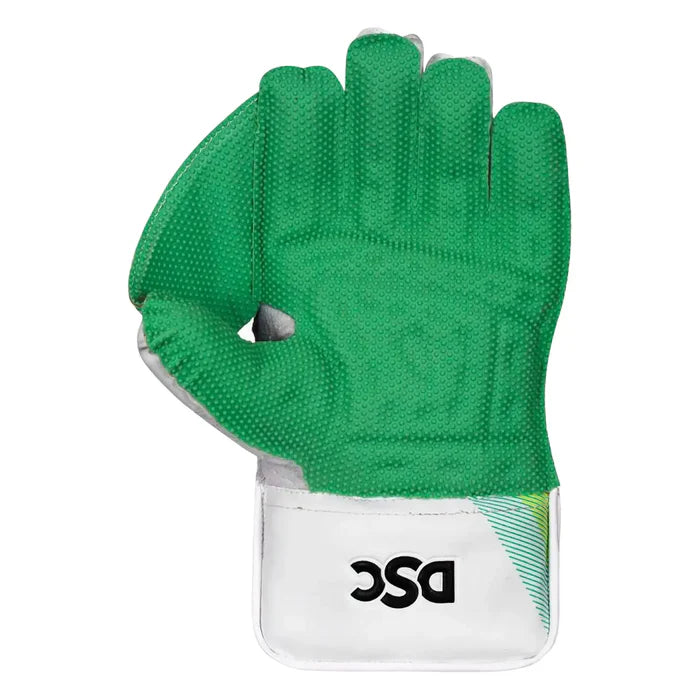 DSC Condor Motion Wicket Keeping Gloves