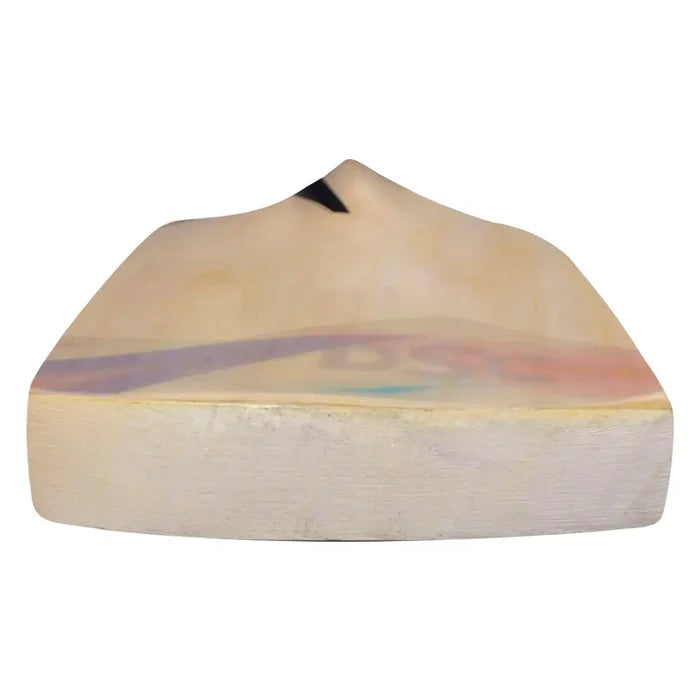 DSC Condor Scud Kashmir Willow Cricket Bat