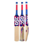 DSC Intense Zeal Kashmir Willow Bat
