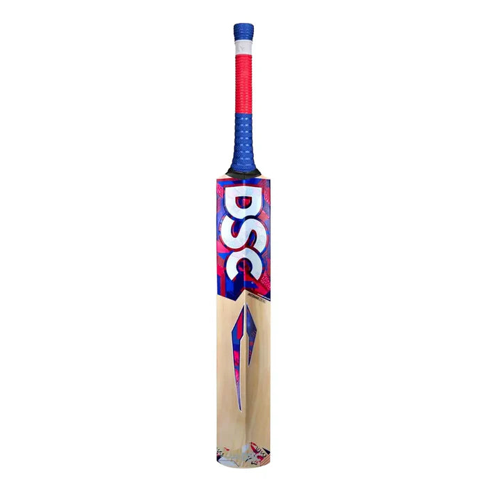 DSC Intense Zeal Kashmir Willow Bat