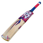 DSC Intense Zeal Kashmir Willow Bat