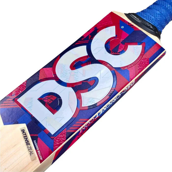 DSC Intense Zeal Kashmir Willow Bat
