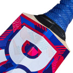 DSC Intense Zeal Kashmir Willow Bat