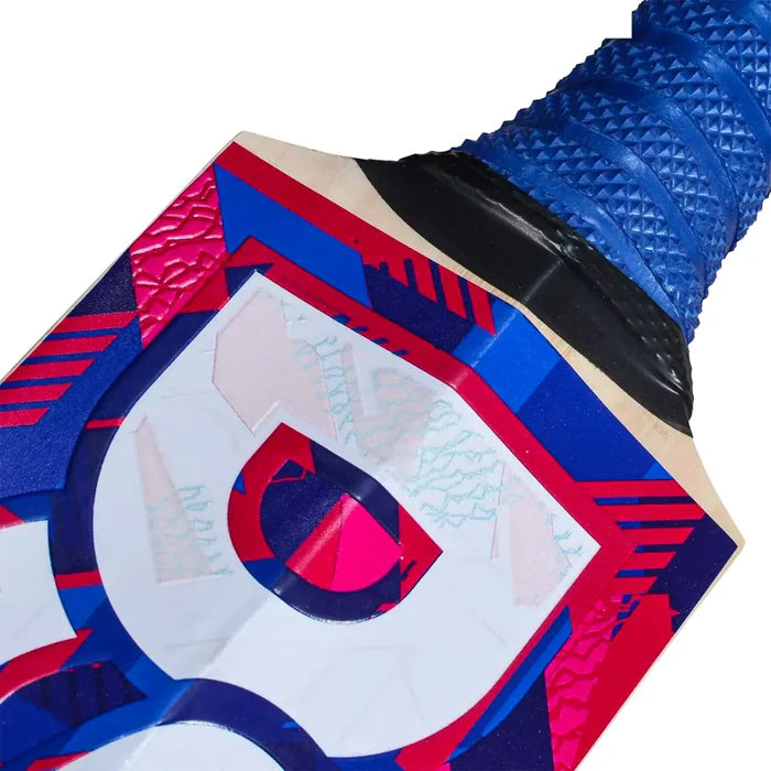 DSC Intense Zeal Kashmir Willow Bat