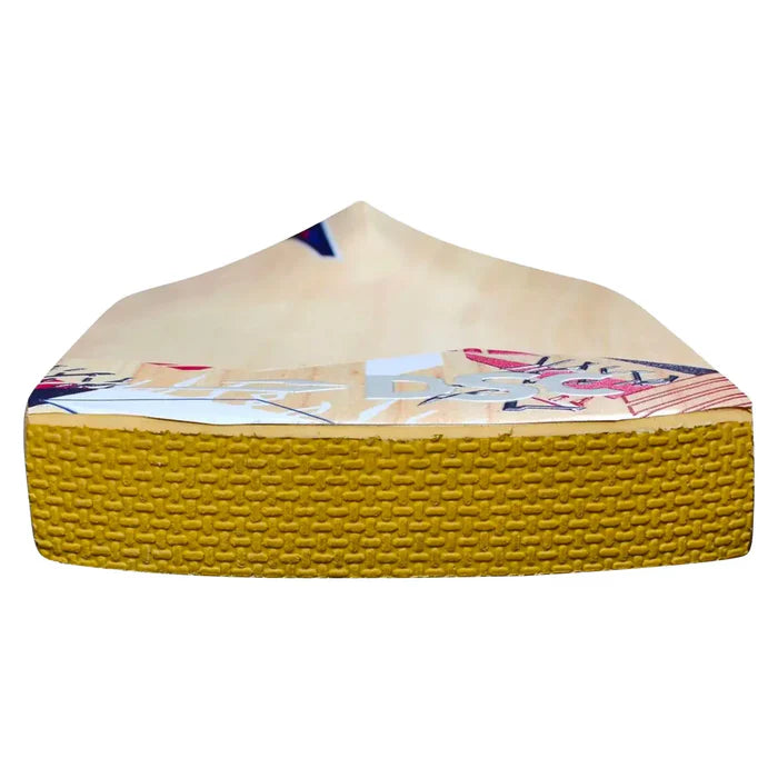 DSC Intense Zeal Kashmir Willow Bat