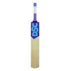 DSC Trizone Tennis Kashmir Willow Cricket Bat