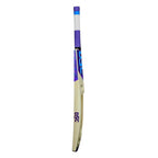 DSC Trizone Tennis Kashmir Willow Cricket Bat