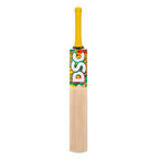 DSC Wildfire Heat Kashmir Willow Tennis Bat
