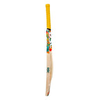 DSC Wildfire Heat Kashmir Willow Tennis Bat