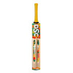 DSC Wildfire Heat Kashmir Willow Tennis Bat