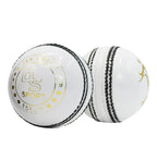 Balle de cricket DS - 40 overs 