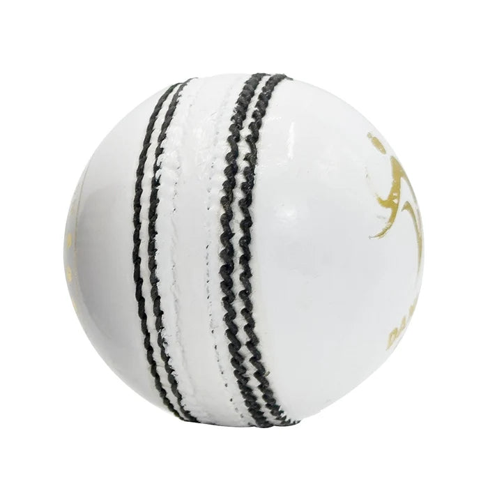 Balle de cricket DS - 40 overs 