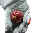 Ds Supreme Wicket Keeping Gloves