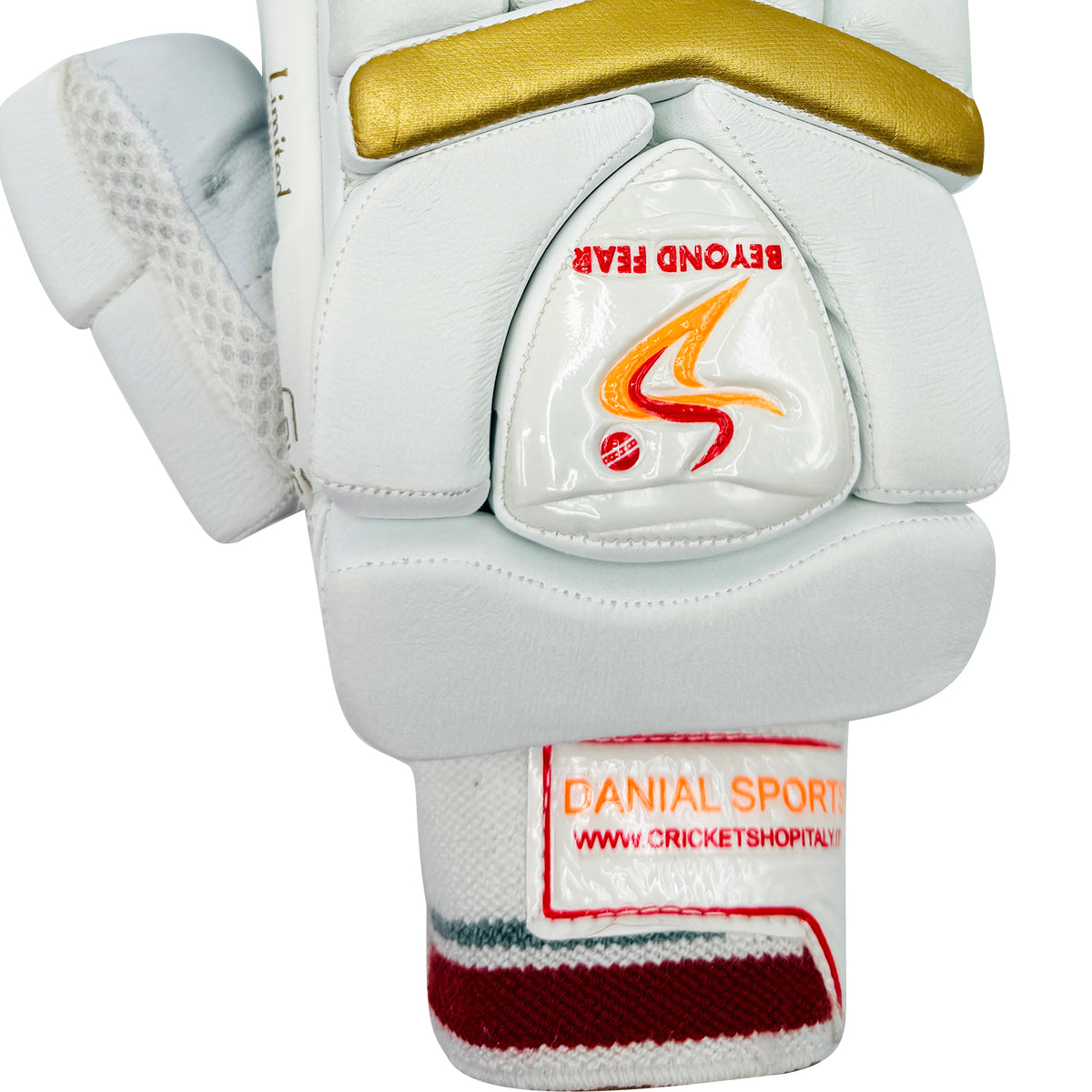 Pair of Ds youth cricket batting gloves showing both palm and front protective sides.