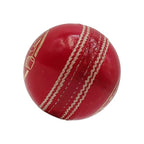Ds D1 Aluminium-Leder-Cricketball