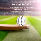 DS T20 Cricket Ball