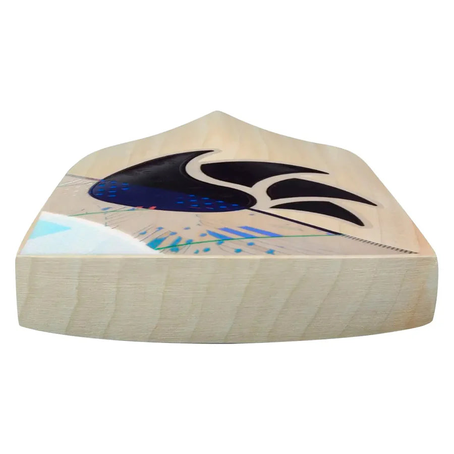 DSC Condor Motion English Willow Cricket Bat with size reference and packaging

