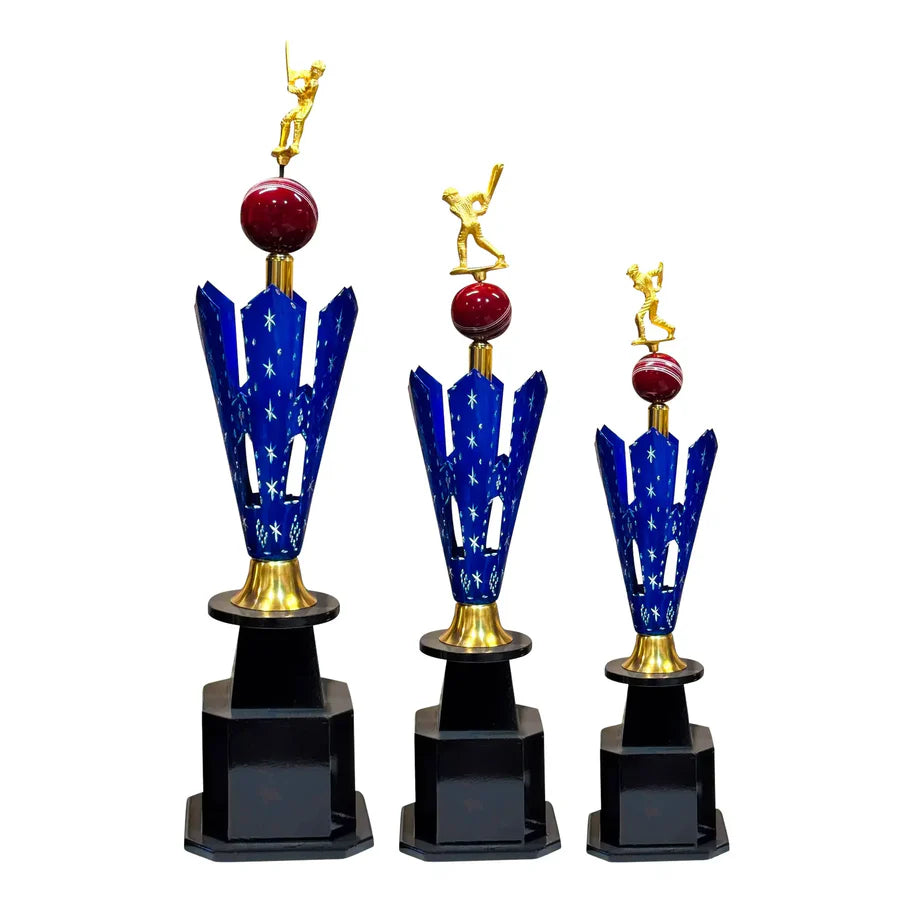 Elite Star Cricket Trophy