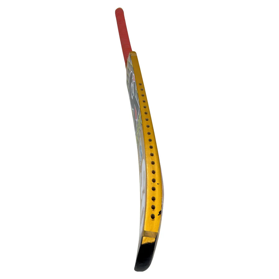 GA Dragon Tape Ball Bat