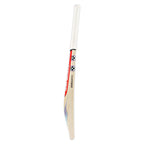 Gray Nicolls GEM 2.1 Power Cricket Bat