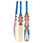 Gray Nicolls Havoc 1.0 GN450 Cricket Bat