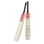 Gray Nicolls Scoop 5 Star Kashmiri Willow Bat