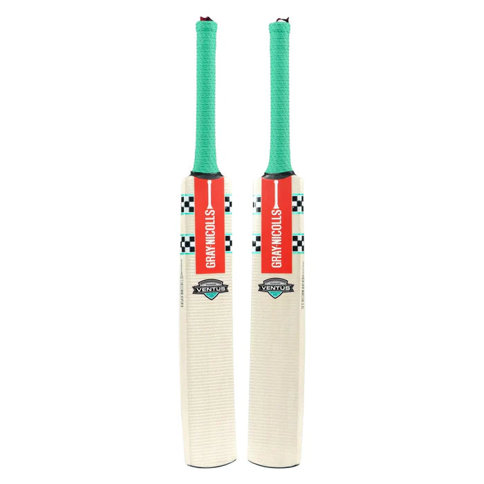 Gray Nicolls VENTUS 1.0 WARRIOR Kashmir Willow Cricket Bat