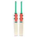 Gray Nicolls VENTUS 1.0 WARRIOR Kashmir Willow Cricket Bat