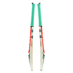Gray Nicolls VENTUS 1.0 WARRIOR Kashmir Willow Cricket Bat