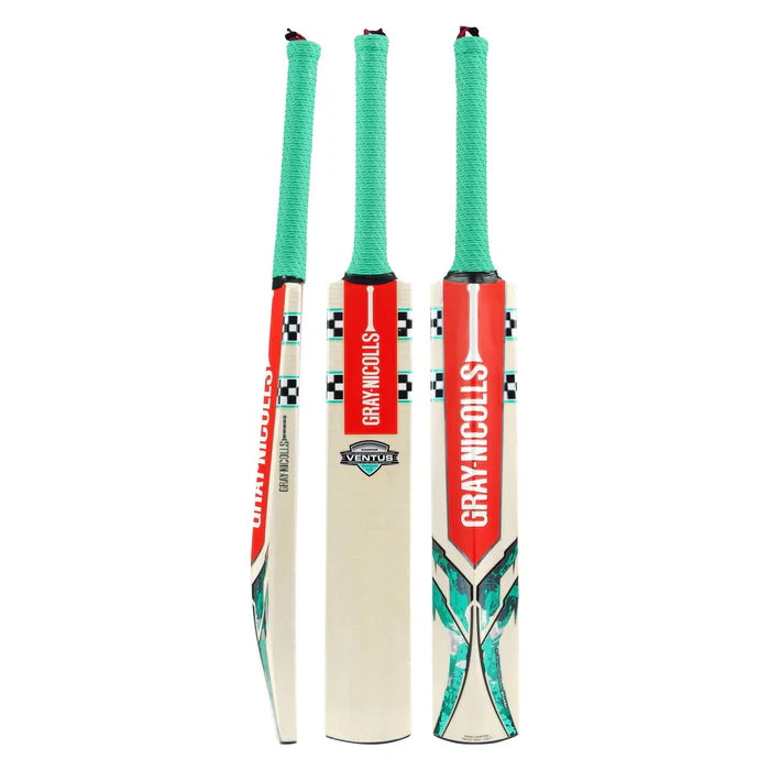 Gray Nicolls VENTUS 1.0 WARRIOR Kashmir Willow Cricket Bat