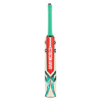 Gray Nicolls VENTUS 1.0 WARRIOR Kashmir Willow Cricket Bat
